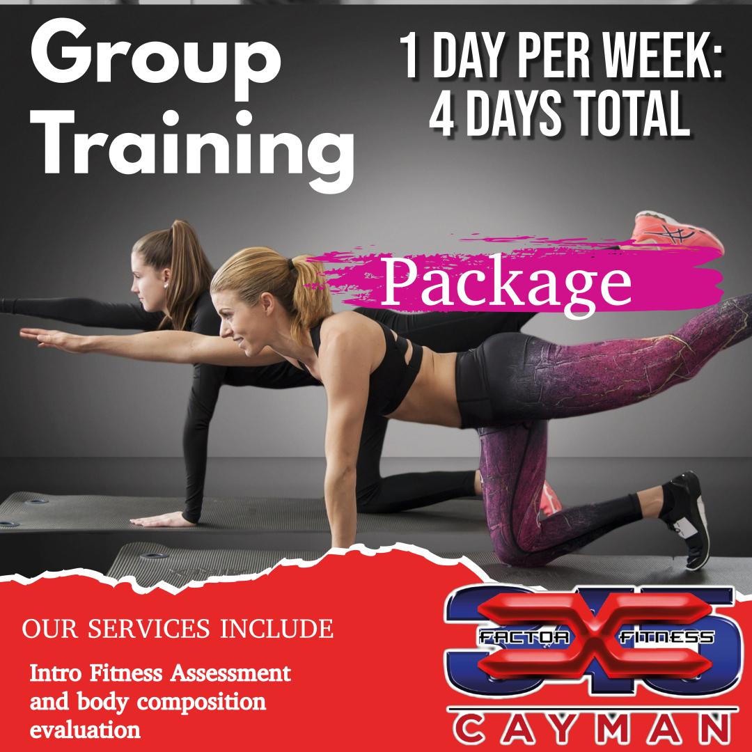 1 Day Per Week Group Session Monthly Package
